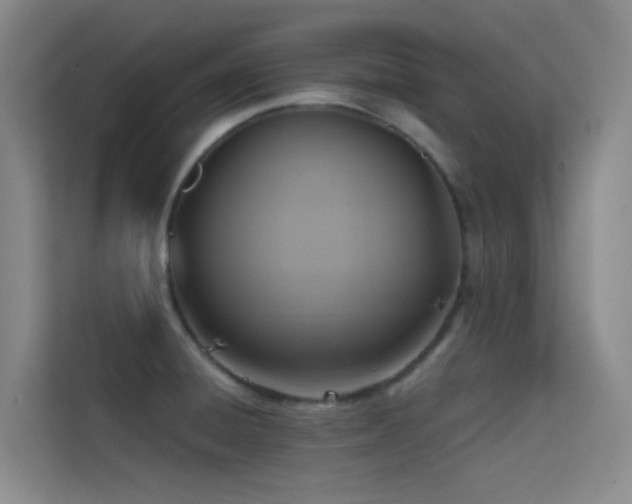 X0000114671428200910211141
