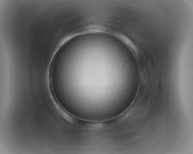 X0000114671431200910211141
