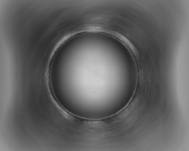 X0000114671432200910211141