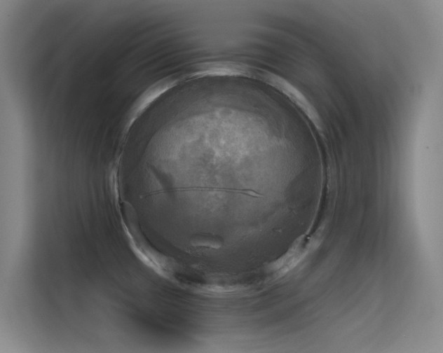 X0000114671433200910211141