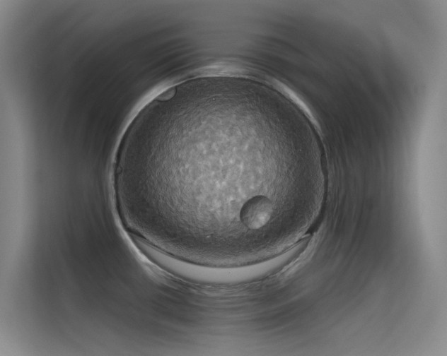 X0000114671434200910211141