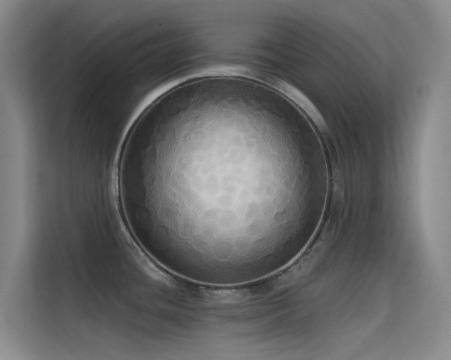 X0000114671436200910211141