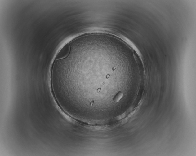 X0000114671437200910211141