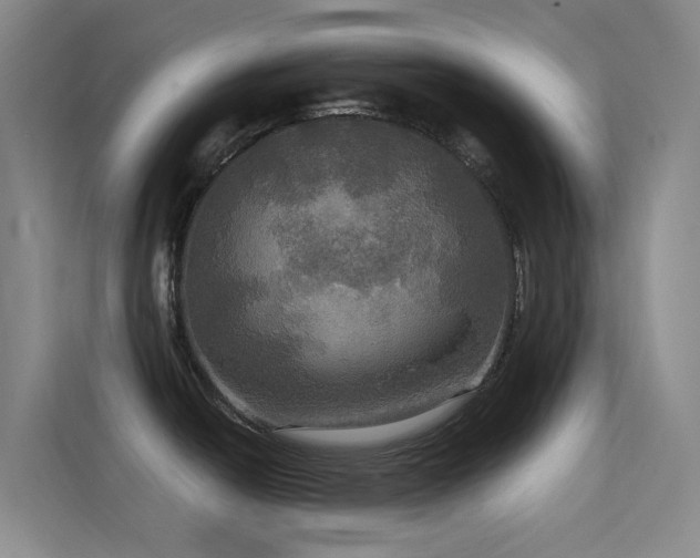 X0000114671438200910211141