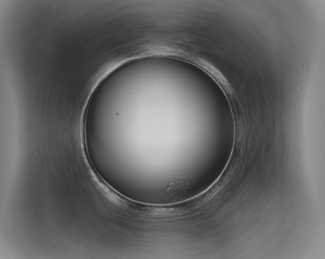 X0000114671439200910211141