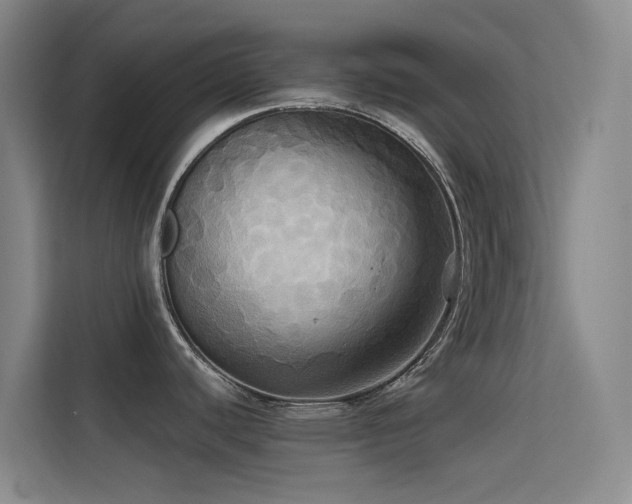 X0000114671440200910211141