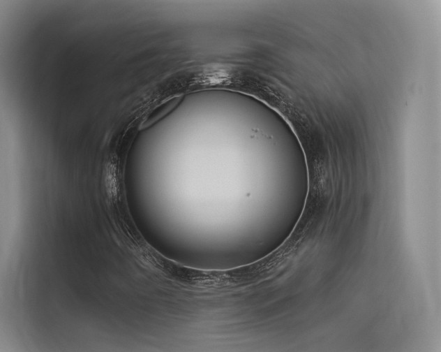 X0000114671442200910211141