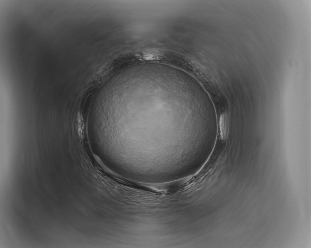 X0000114671443200910211141