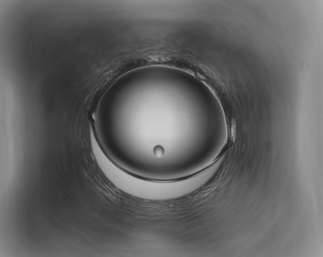 X0000114671444200910211141