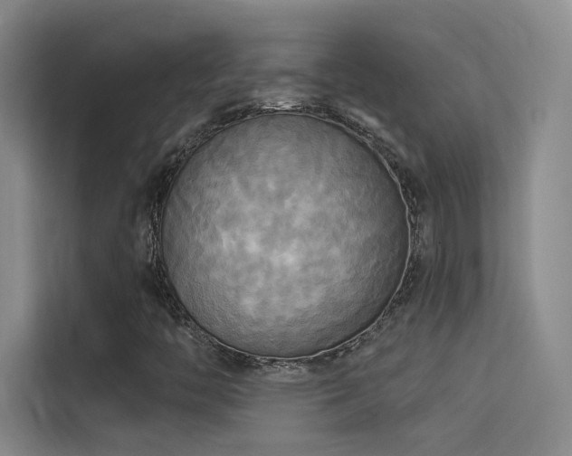 X0000114671446200910211141