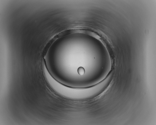 X0000114671449200910211141