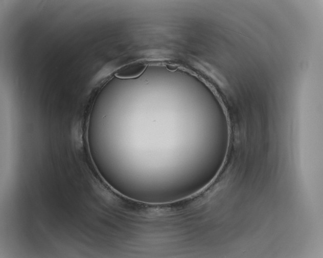 X0000114671451200910211141