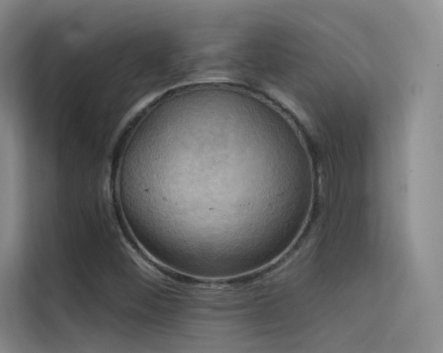 X0000114671452200910211141