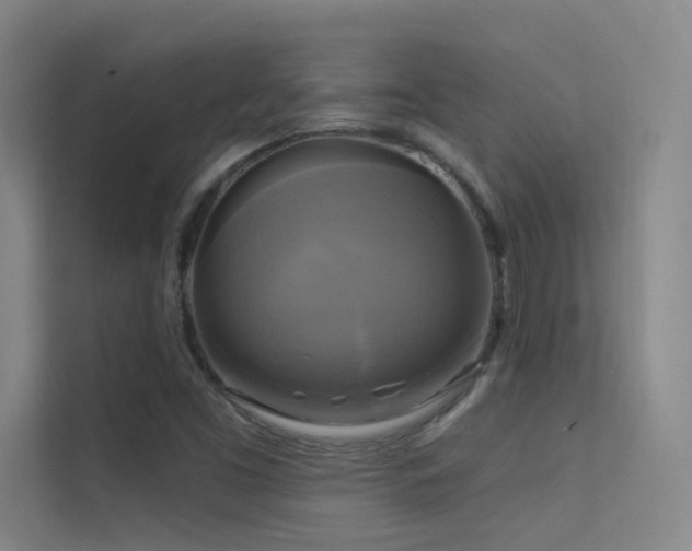 X0000114671453200910211141