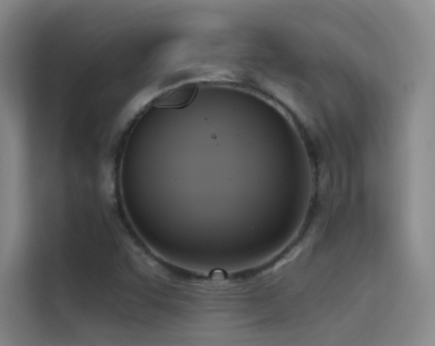 X0000114671455200910211141