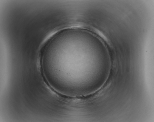 X0000114671456200910211141