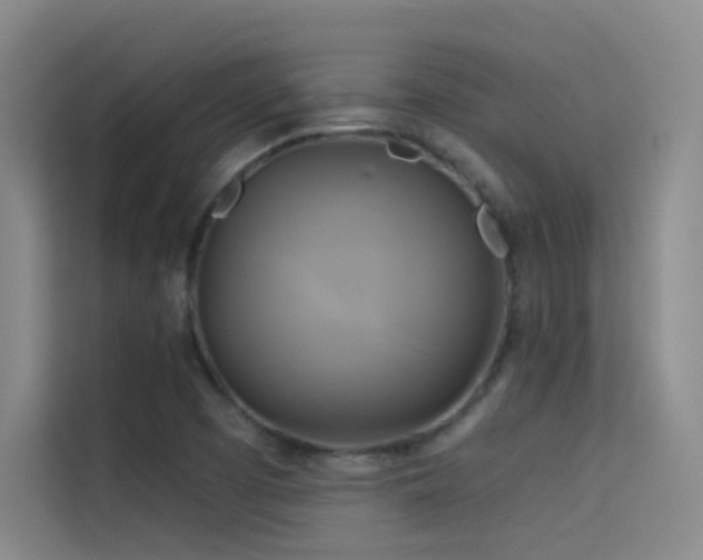 X0000114671457200910211141
