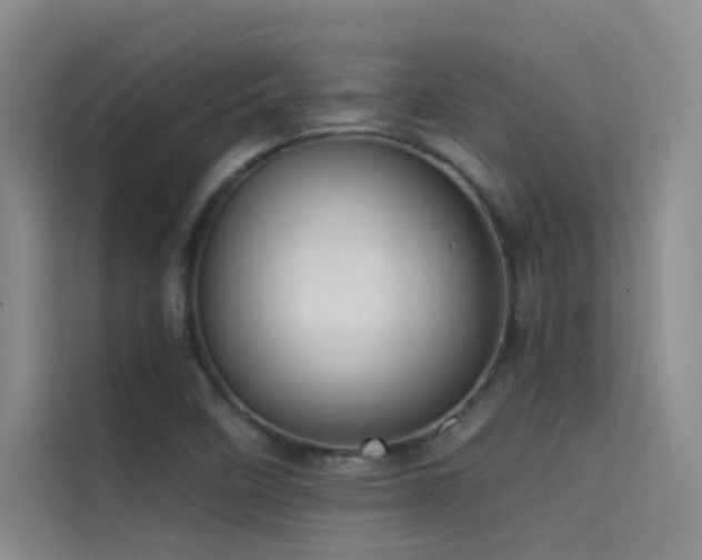 X0000114671458200910211140