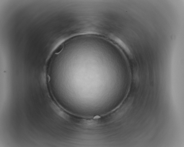 X0000114671460200910211140