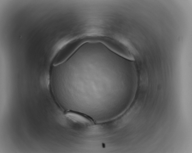 X0000114671461200910211140