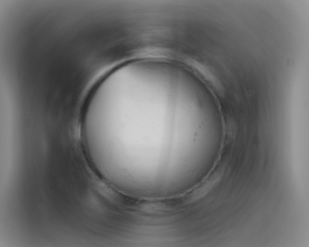 X0000114671462200910211140