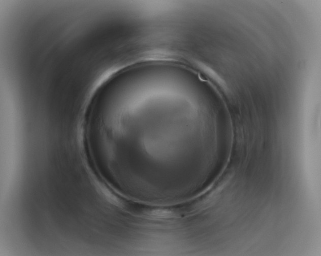 X0000114671463200910211140