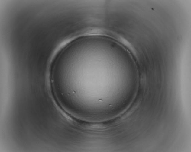 X0000114671464200910211140