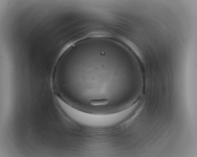X0000114671465200910211140