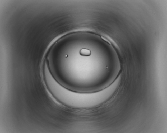 X0000114671468200910211140