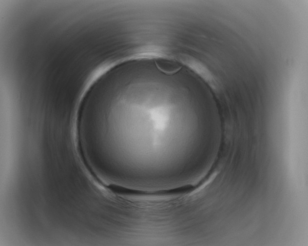X0000114671469200910211140