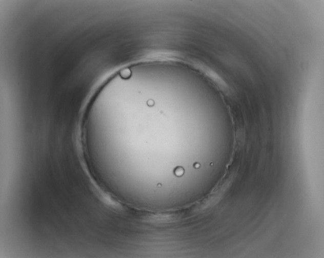 X0000114671470200910211140