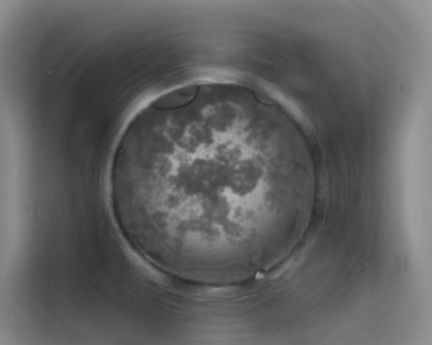 X0000114671471200910211140