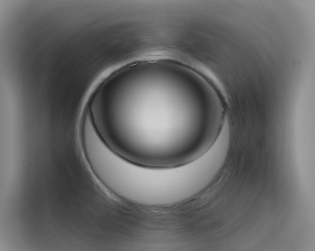 X0000114671472200910211140