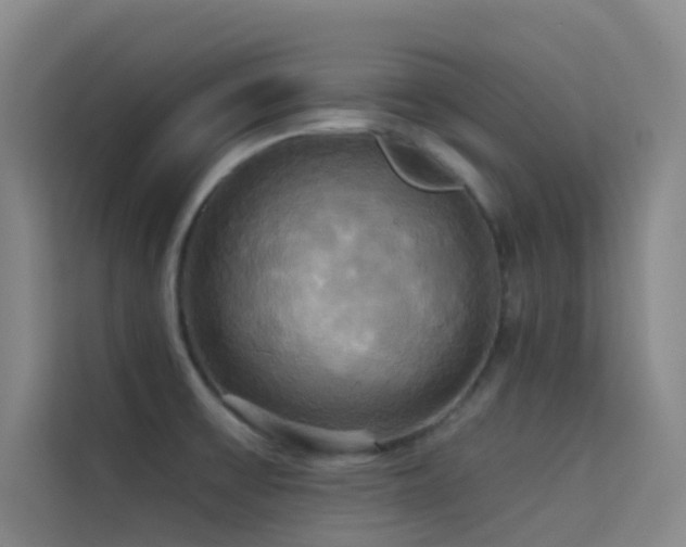 X0000114671475200910211140