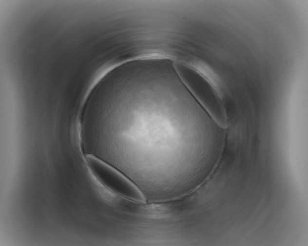 X0000114671476200910211140