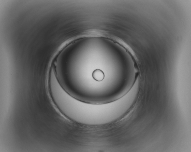 X0000114671477200910211140