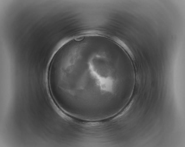 X0000114671482200910211140