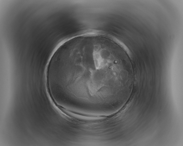 X0000114671483200910211140
