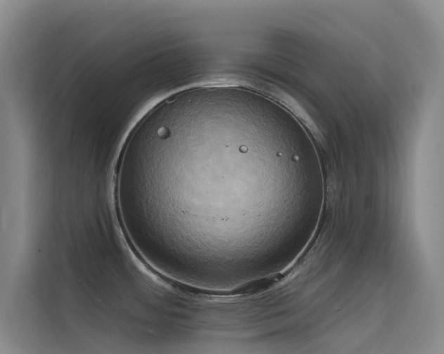 X0000114671484200910211140