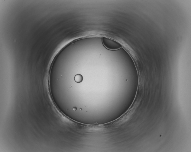 X0000114671486200910211140