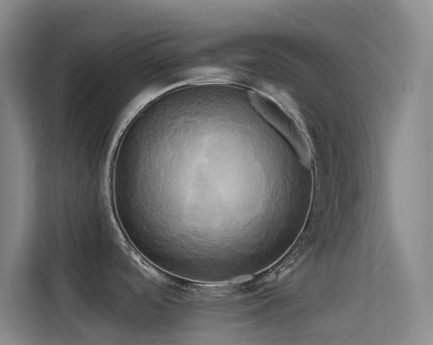 X0000114671488200910211140