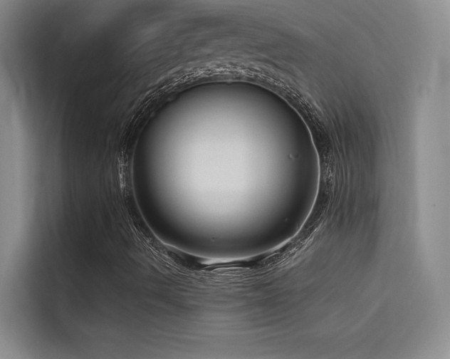X0000114671490200910211140