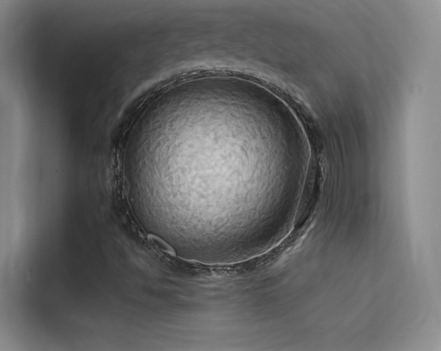 X0000114671494200910211140