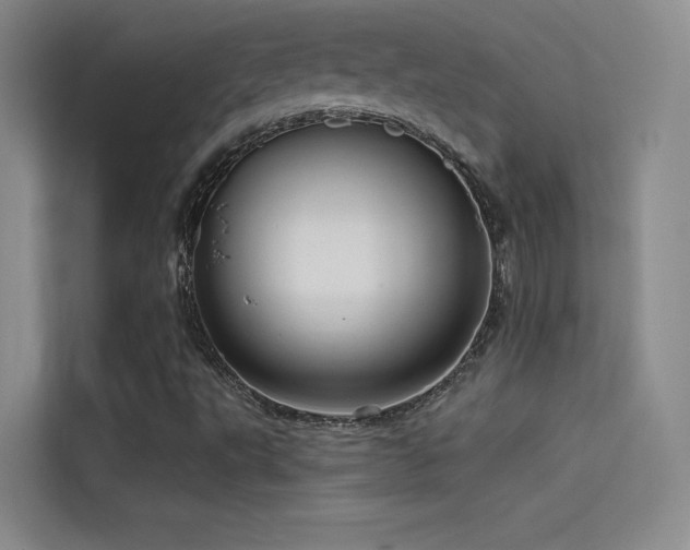 X0000114671495200910211140