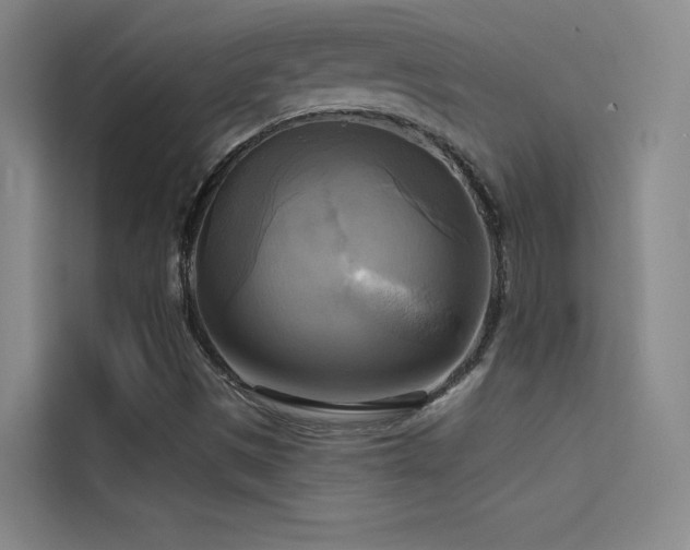 X0000114671497200910211140