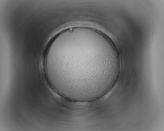 X0000114671498200910211140