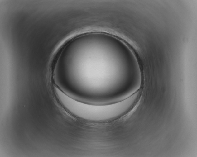 X0000114671502200910211140