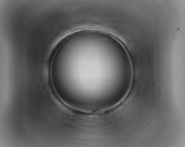 X0000114671503200910211140