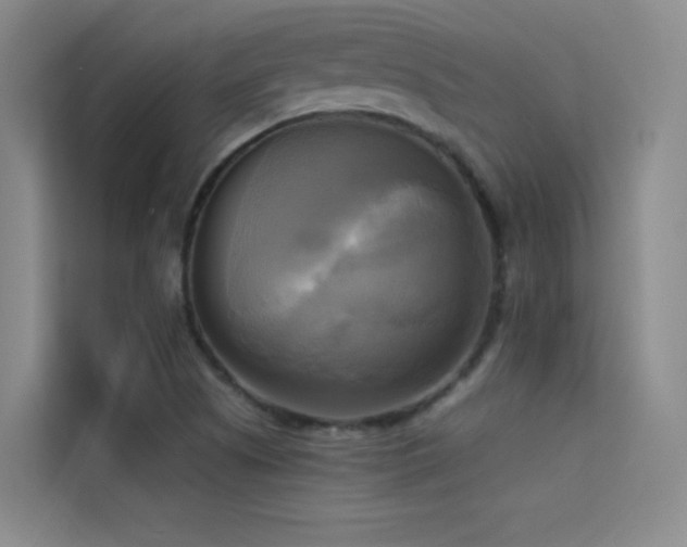 X0000114671505200910211140