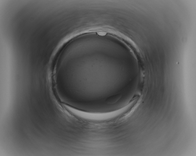 X0000114671506200910211140